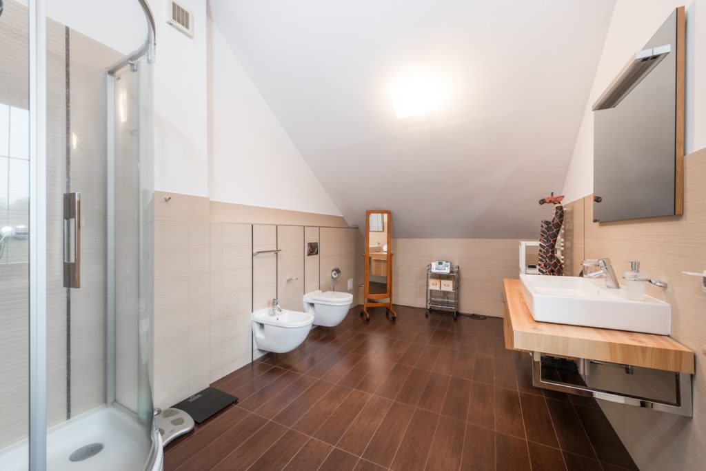 Bathroom ceiling paint