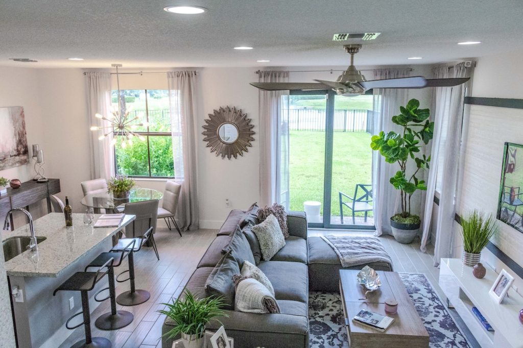 Living room with corner plant