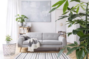 Scandinavian Theme